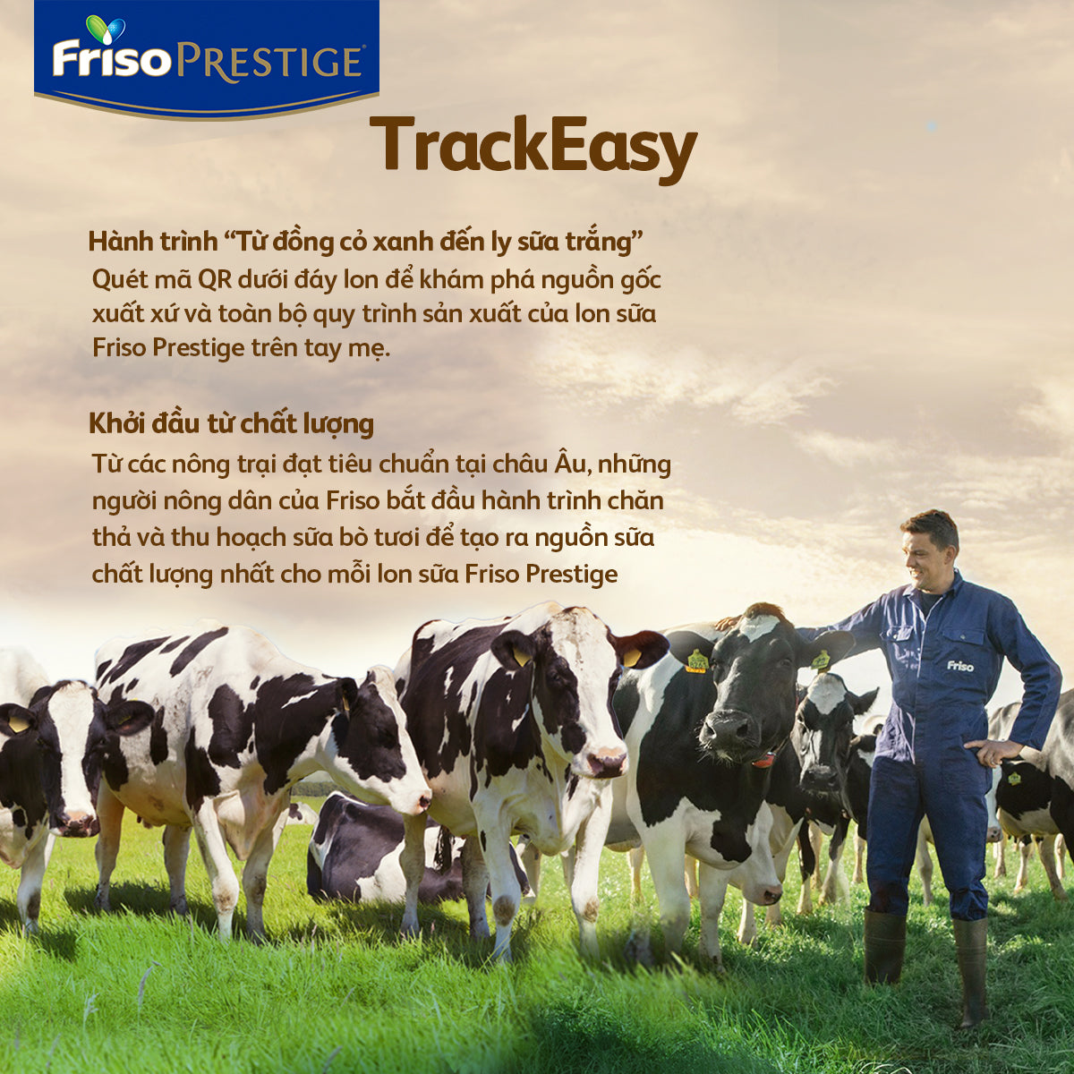 Sữa công thức Friso Prestige 3 700G cho bé 2-6 tuổi